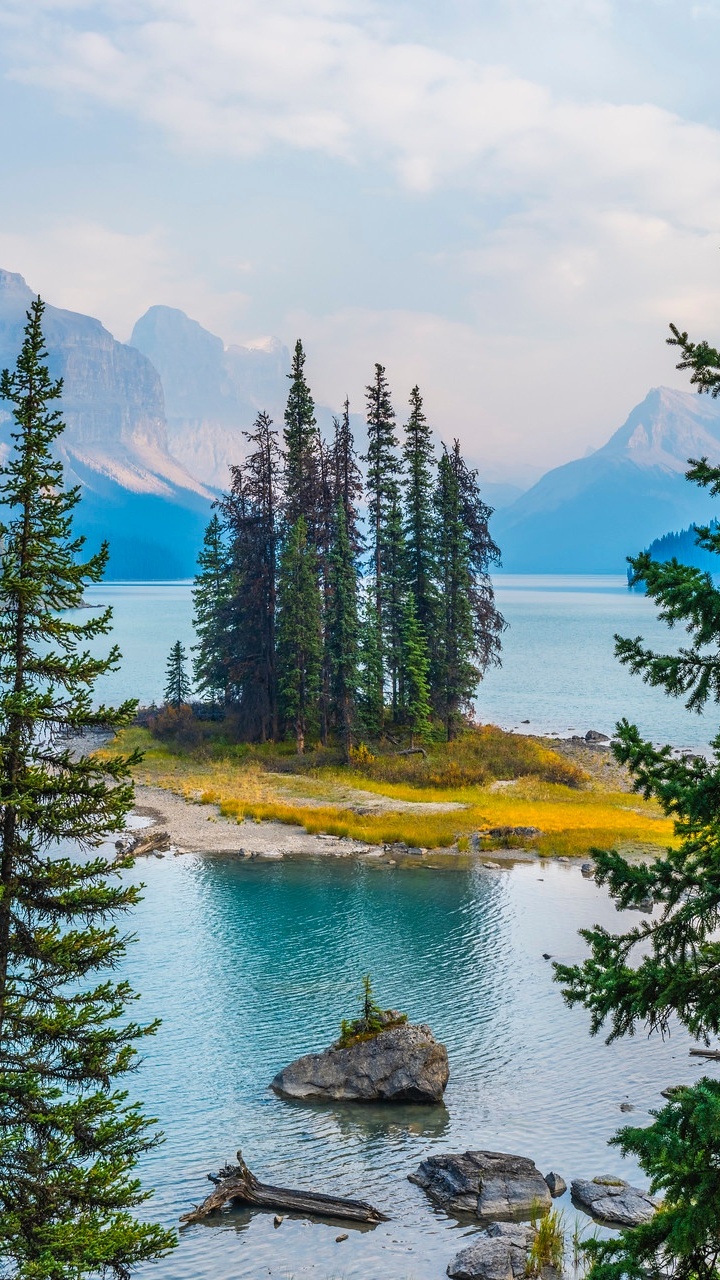 Drzewa na wyspie Spirit Island na jeziorze Maligne Lake