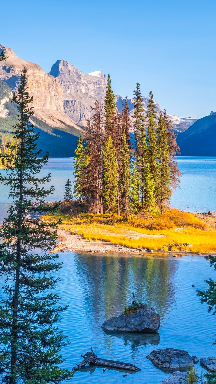 Drzewa na wyspie Spirit Island na jeziorze Maligne