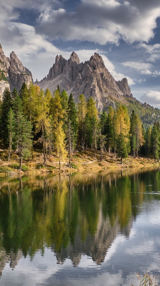 Drzewa nad jeziorem Antorno we włoskich Dolomitach