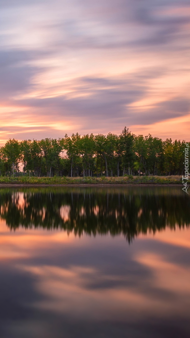 Drzewa nad jeziorem Chatfield Lake