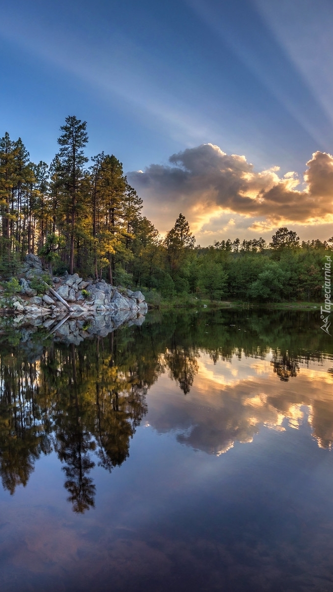 Drzewa nad jeziorem Goldwater Lake