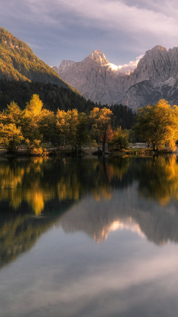 Drzewa nad jeziorem Jasna Lake i Alpy Julijskie w Słowenii