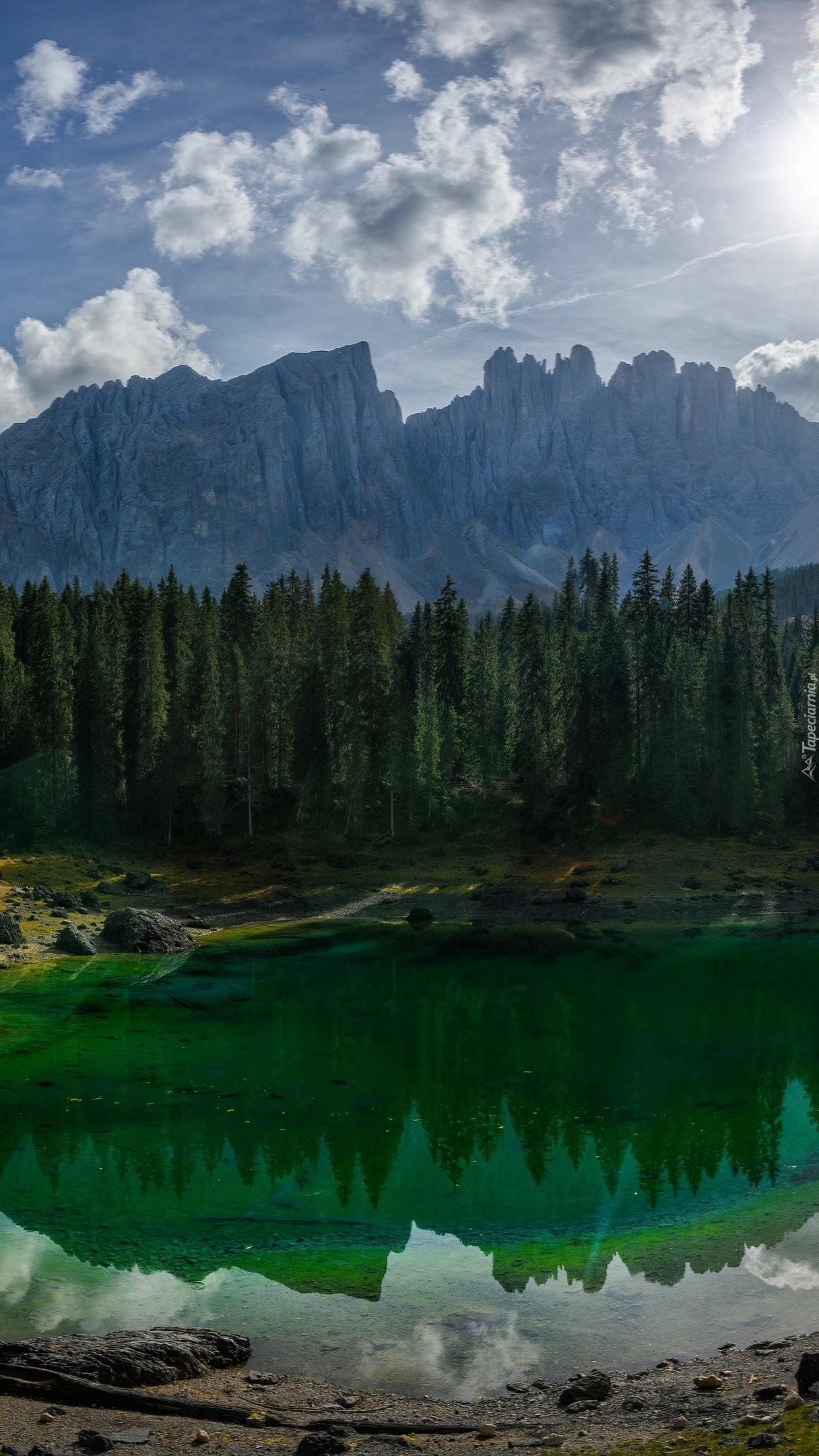 Drzewa nad jeziorem Karersee Lake i góra Latemar