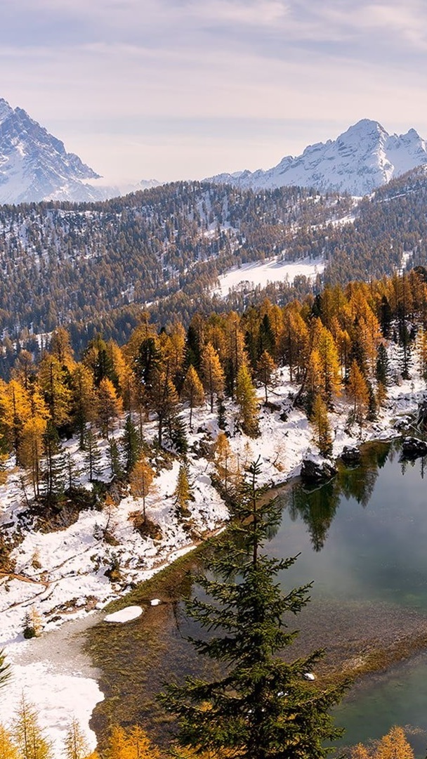 Drzewa nad jeziorem Lago Federa