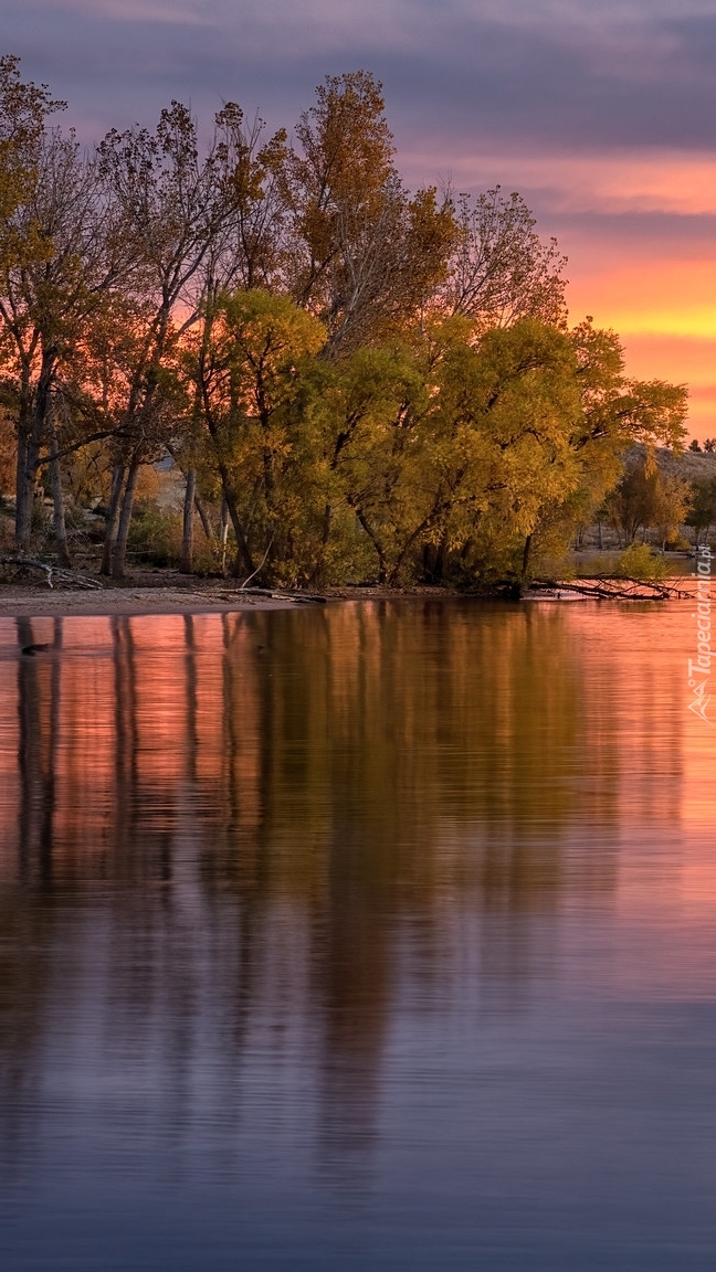 Drzewa nad jeziorem Lake Chatfield o wschodzie słońca