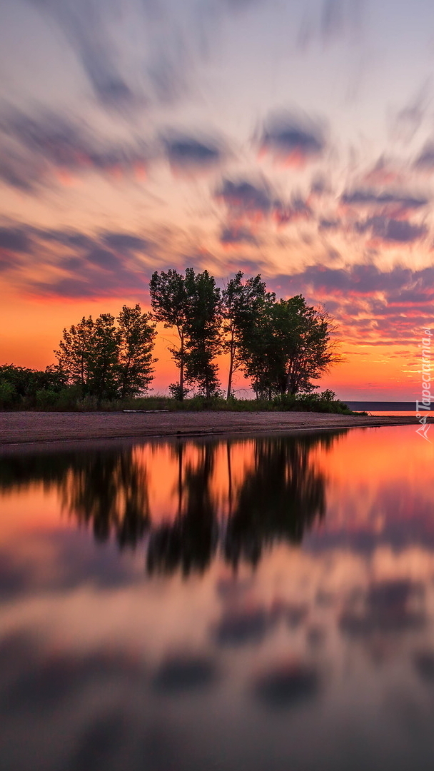 Drzewa nad jeziorem Lake Chatfield