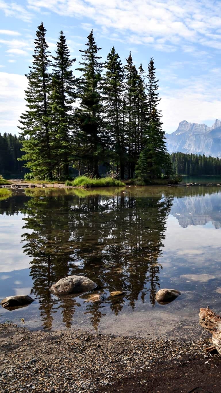 Drzewa nad jeziorem Maligne