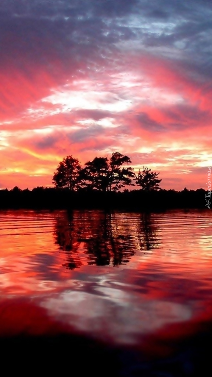 Drzewa nad jeziorem o zachodzie słońca
