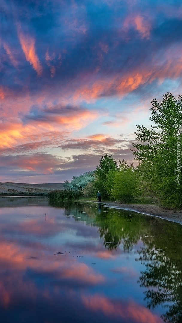 Drzewa nad jeziorem w Parku stanowym Bruneau Dunes