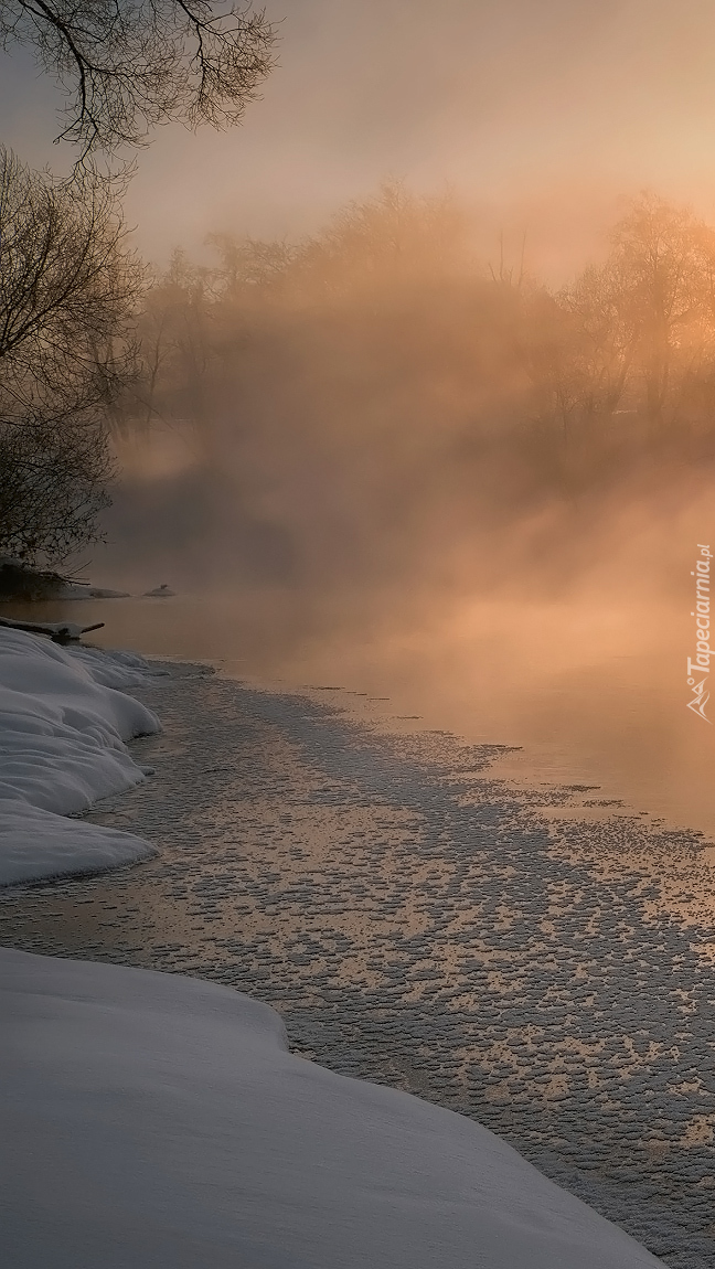 Drzewa nad ośnieżoną rzeką