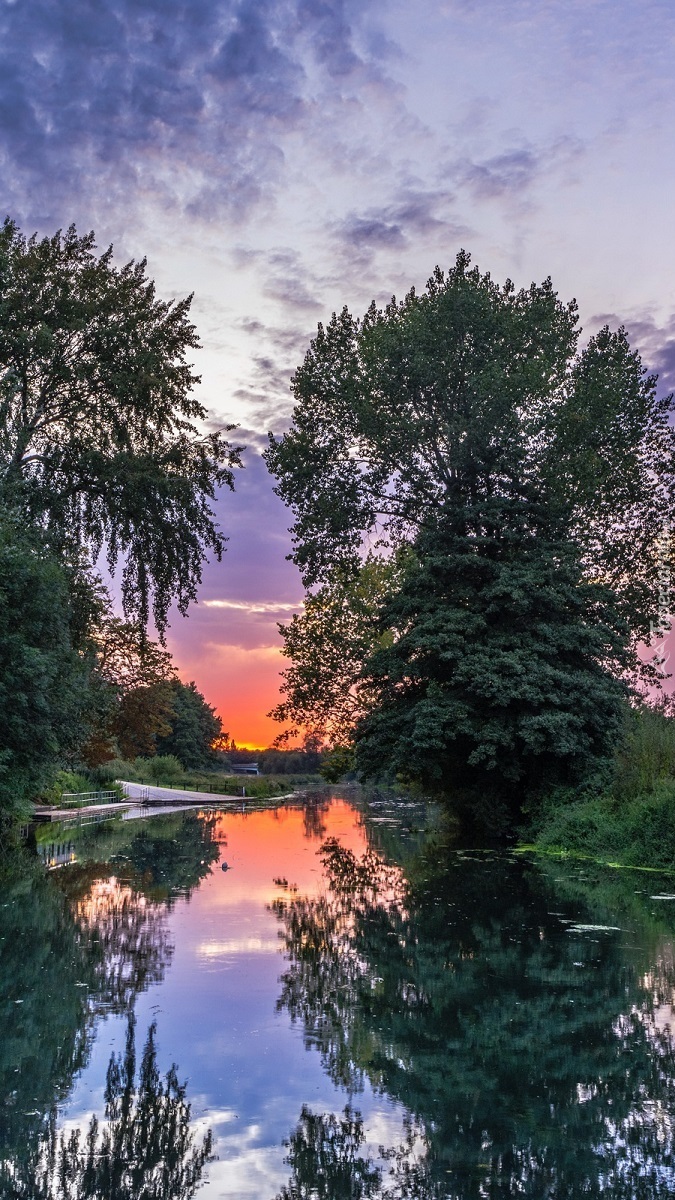 Drzewa nad rzeką i zachód słońca