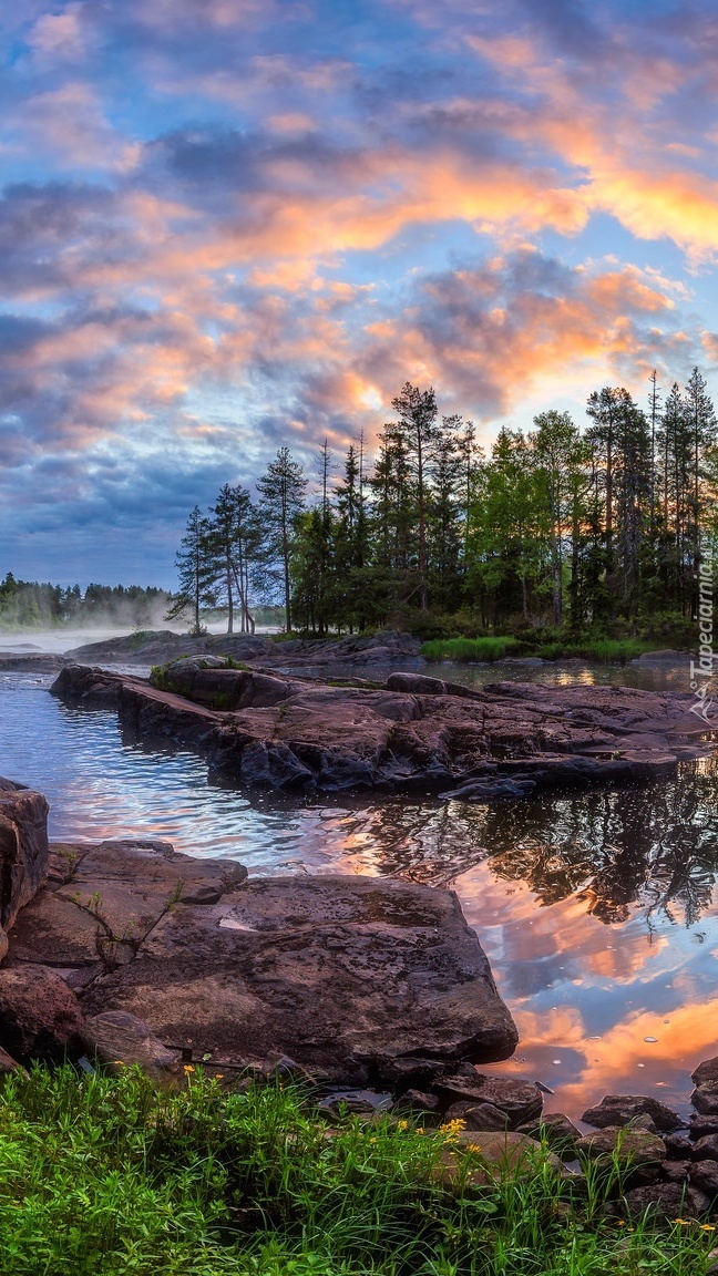 Drzewa nad rzeką Kliminkijoki