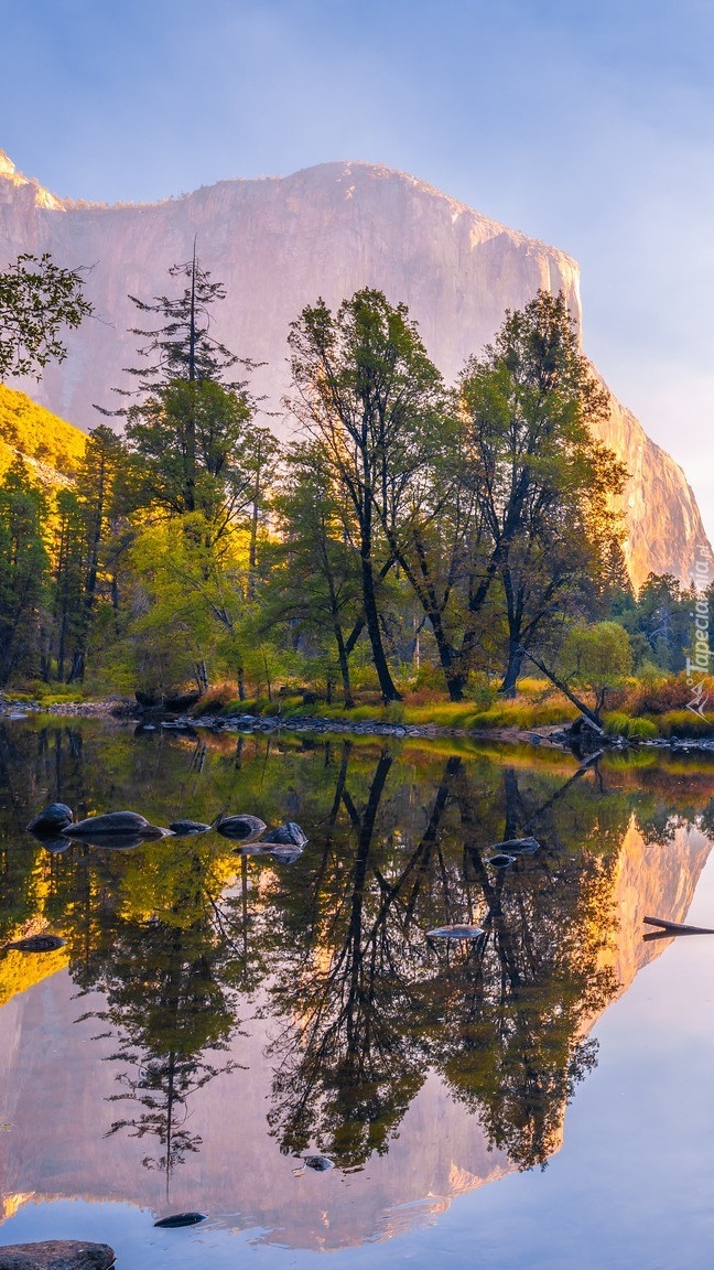 Drzewa nad rzeką Merced River i góry Sierra Nevada