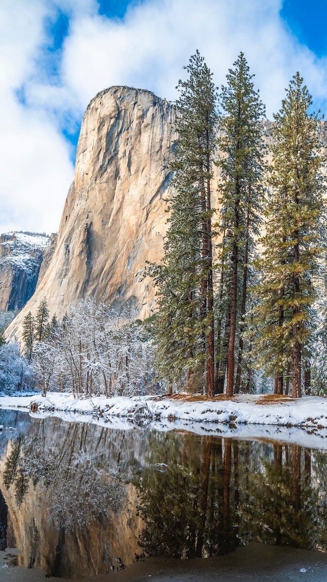 Drzewa nad rzeką Merced River na tle skały El Capitan