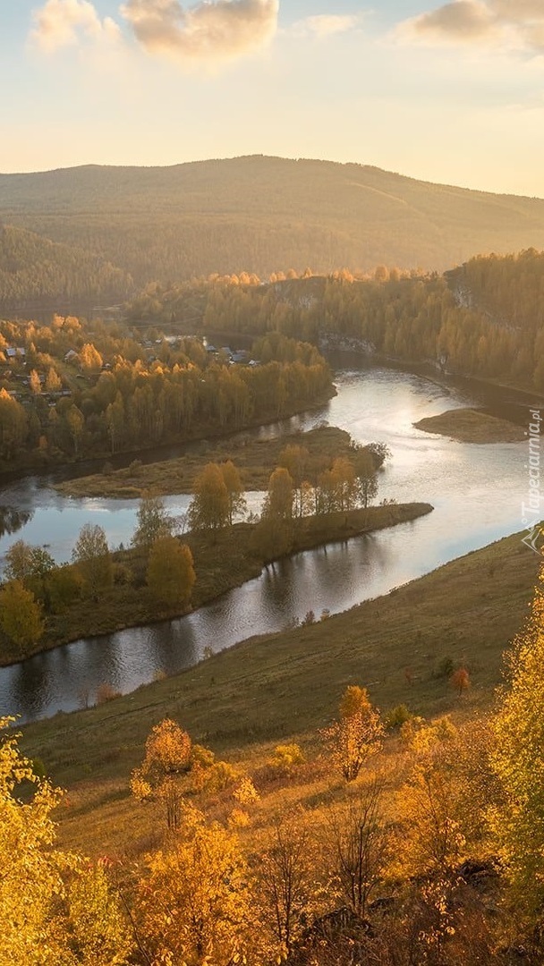 Drzewa nad rzeką w dolinie