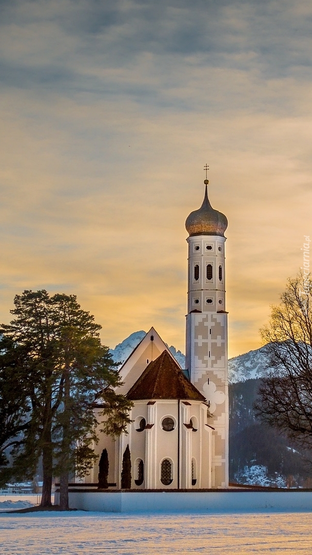 Drzewa obok kościoła Eglise Saint Coloman w Bawarii