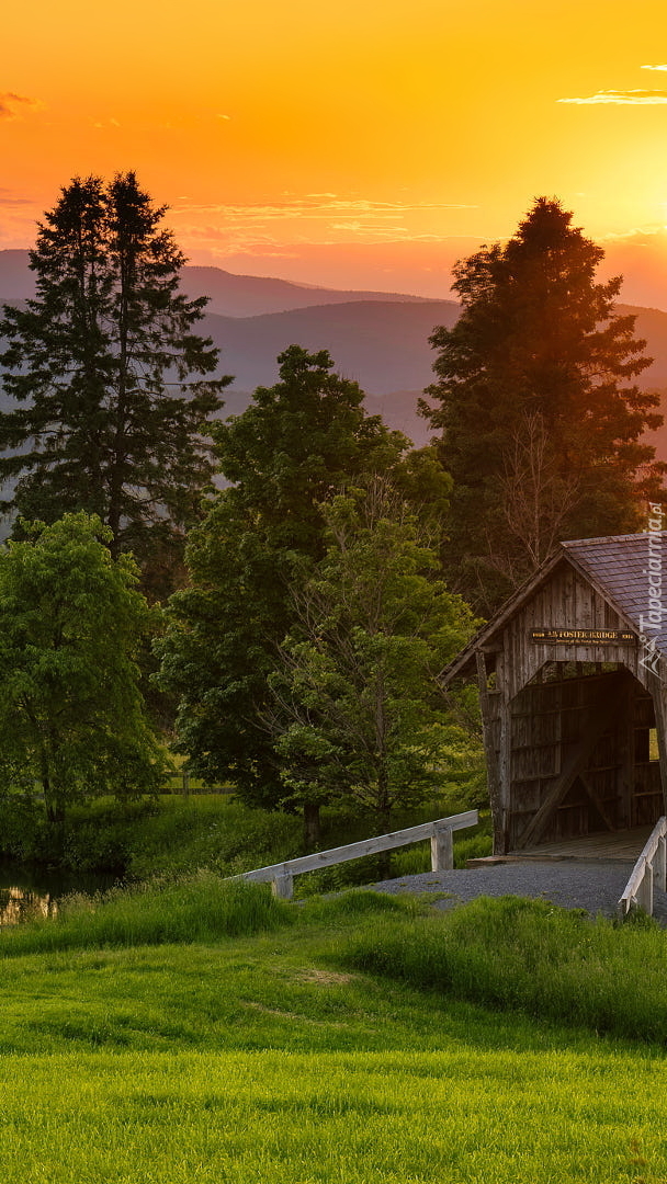 Drzewa obok mostu AM Foster Covered Bridge