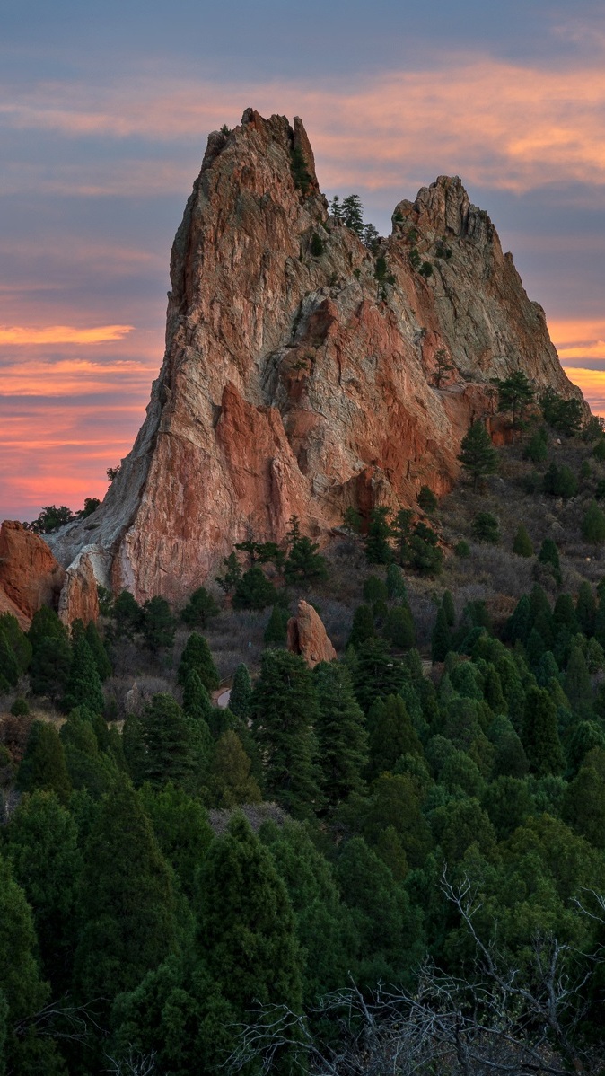 Drzewa pod skałami w Garden of the Gods w Kolorado