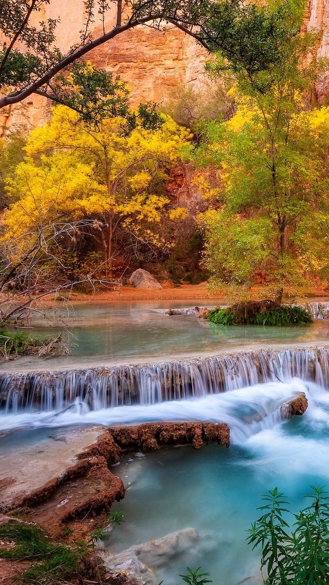 Drzewa przy kaskadzie na rzece w Parku Narodowym Grand Canyon