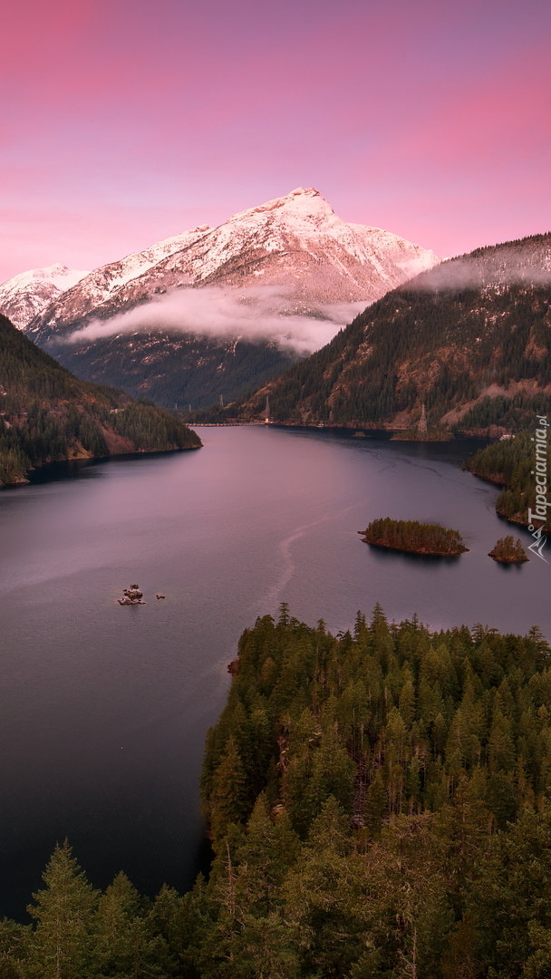 Drzewa wokół jeziora Diablo Lake