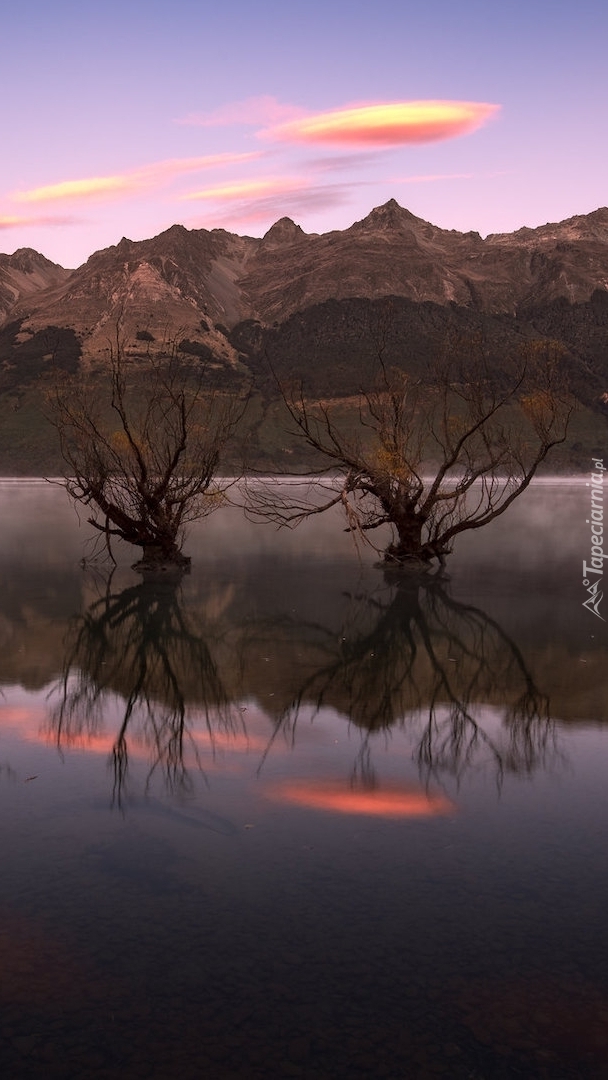 Dwie wierzby w jeziorze Wakatipu