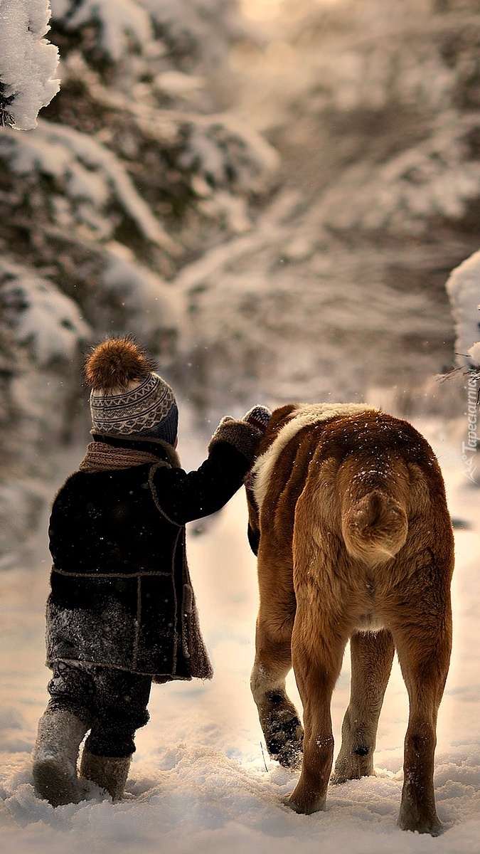 Dziecko i pies na zimowym spacerze