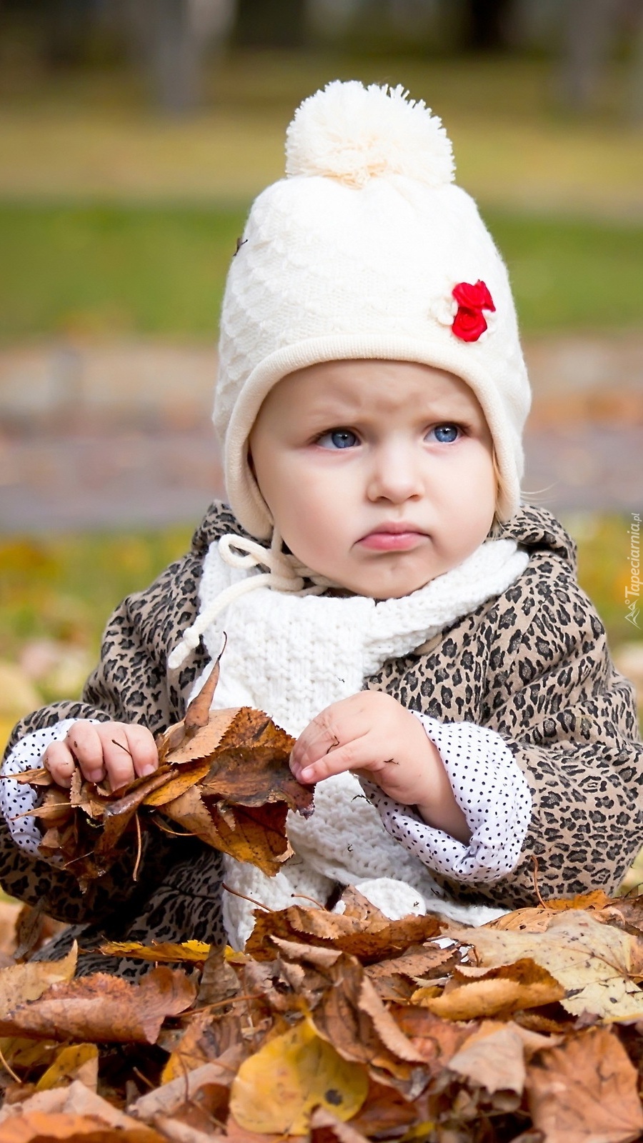 Dziecko w jesiennych liściach