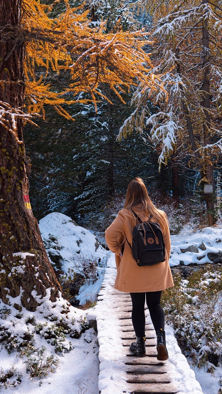 Dziewczyna na spacerze w zimowym lesie