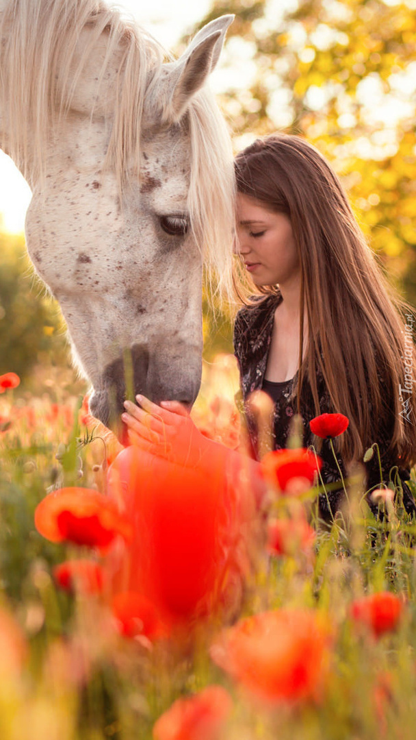 Dziewczyna z koniem na makowej łące