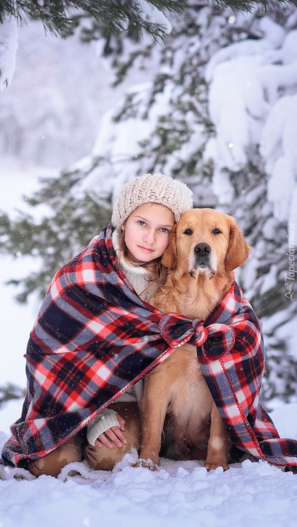 Dziewczynka i golden retriever pod kocem na śniegu