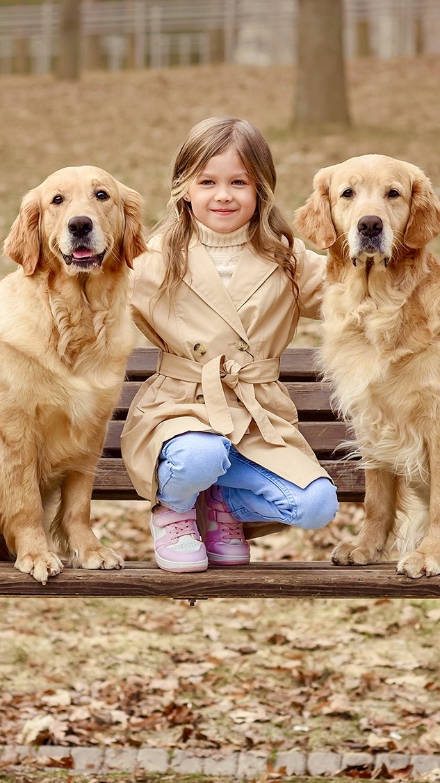 Dziewczynka i golden retrievery na ławce