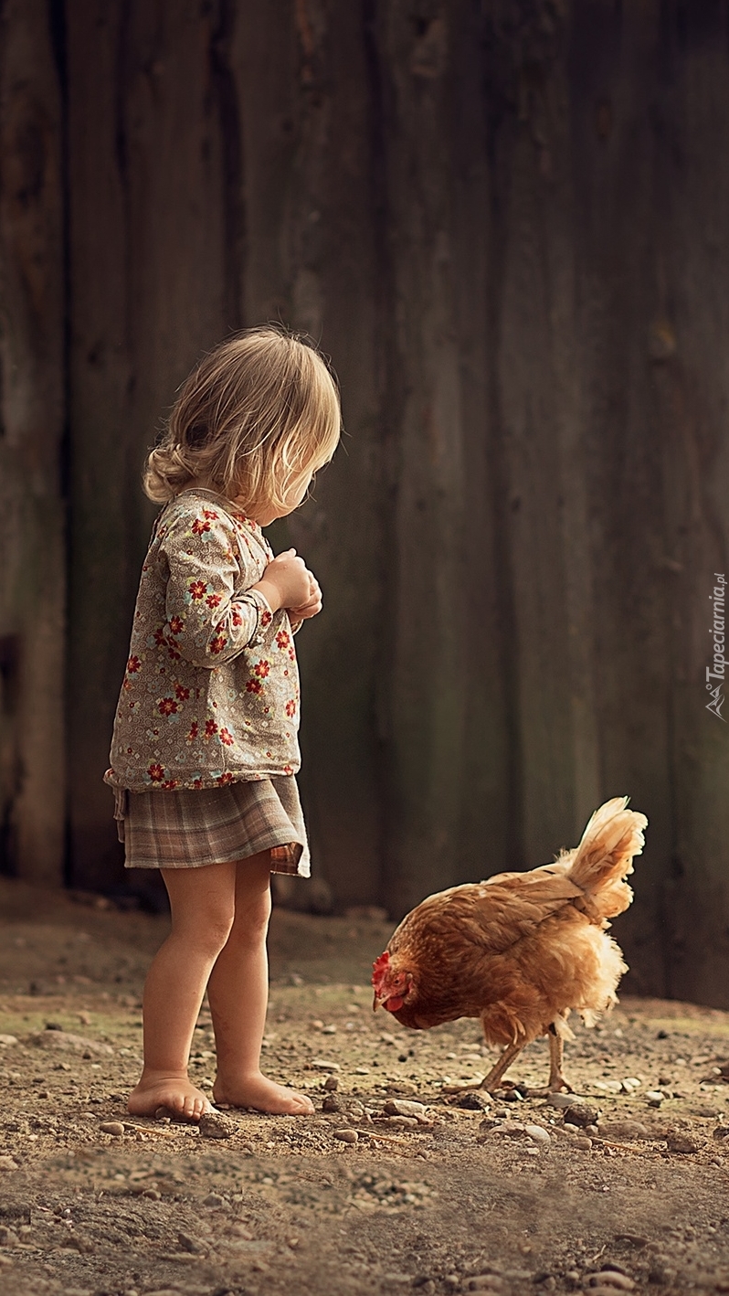 Dziewczynka i kura