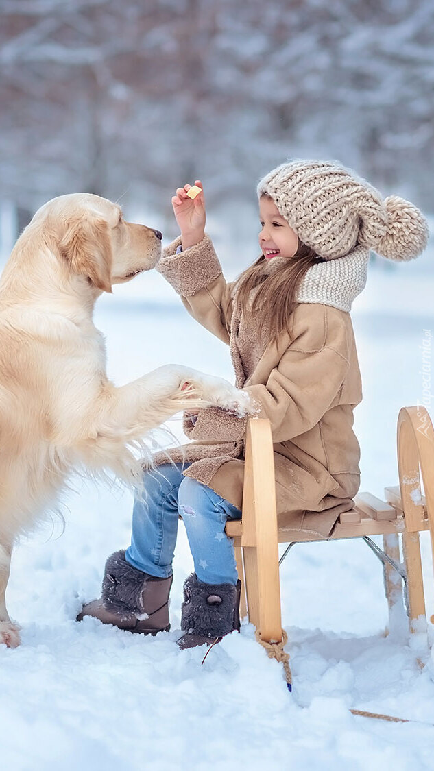 Dziewczynka karmiąca golden retrievera