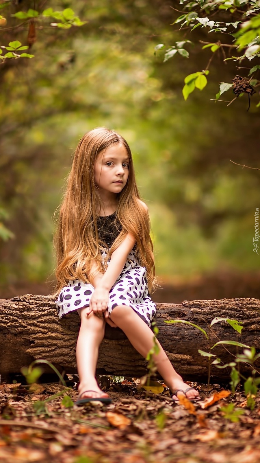 Dziewczynka na wycieczce w lesie