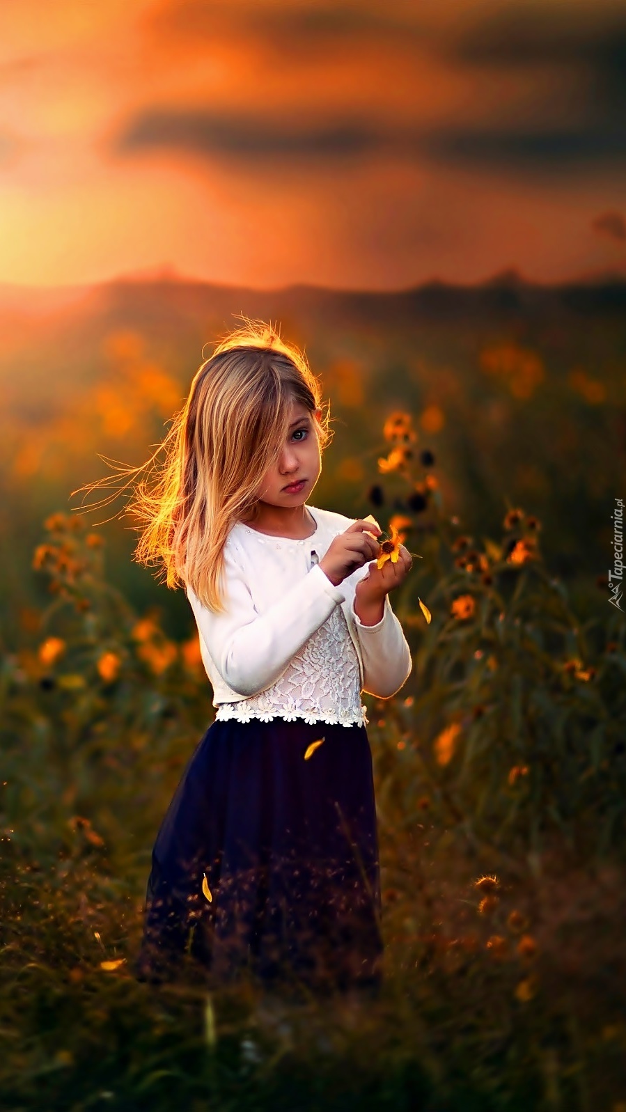 Dziewczynka stoi i obrywa płatki z kwiatka