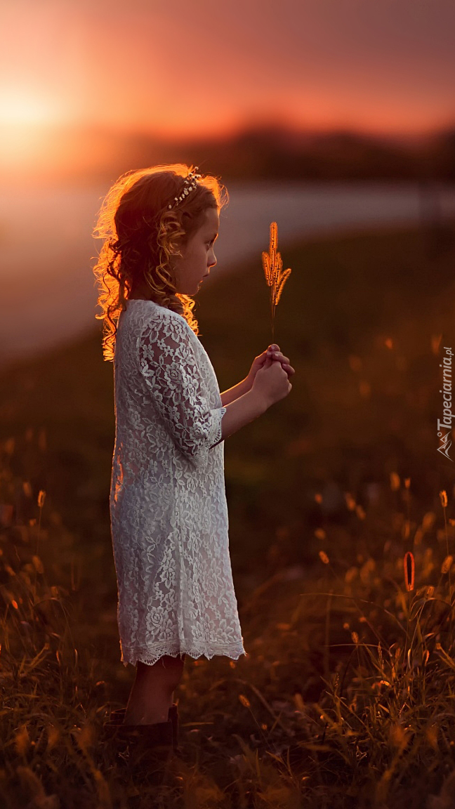 Dziewczynka stojąca wśród traw o zachodzie słońca
