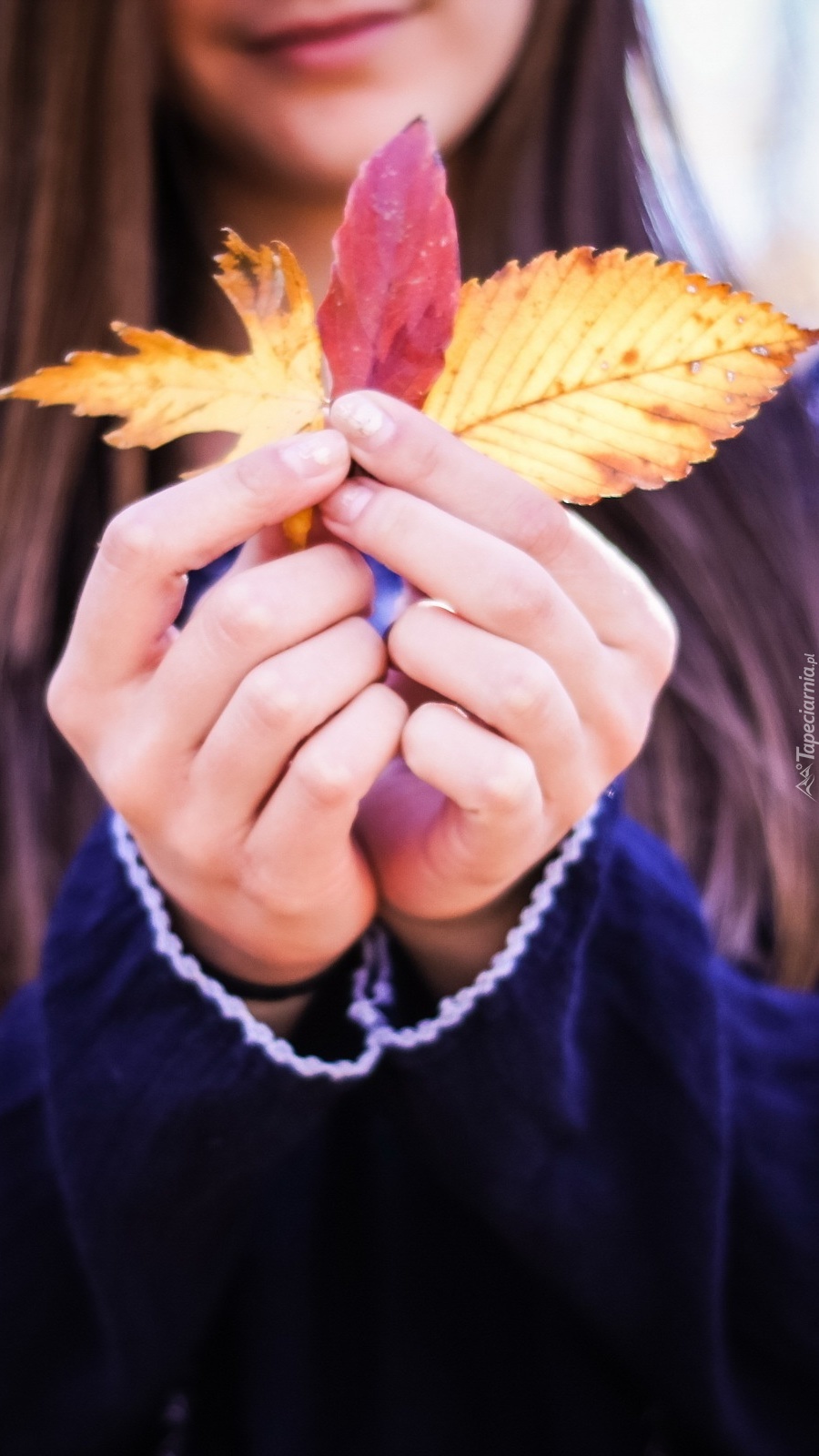 Dziewczynka trzymająca w ręku jesienne liście