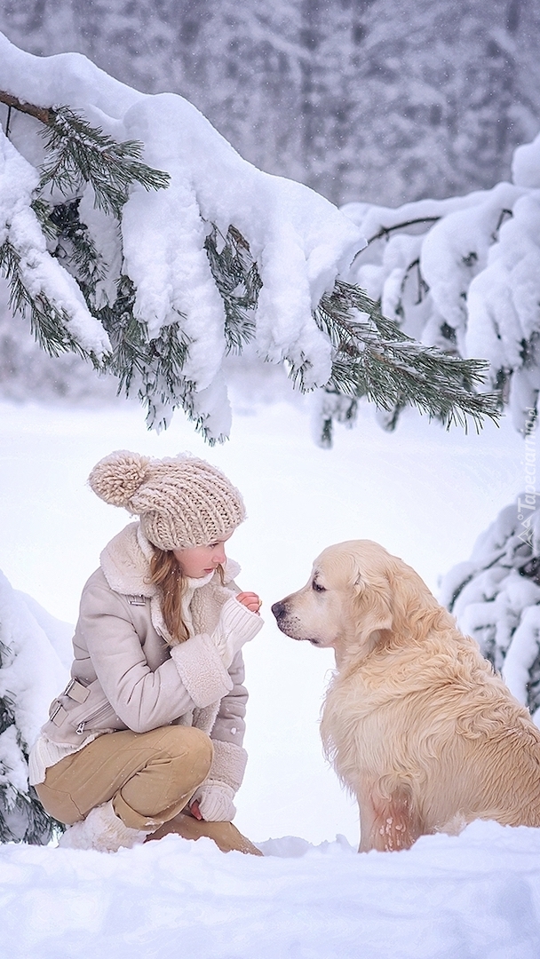 Dziewczynka z golden retrieverem w śniegu