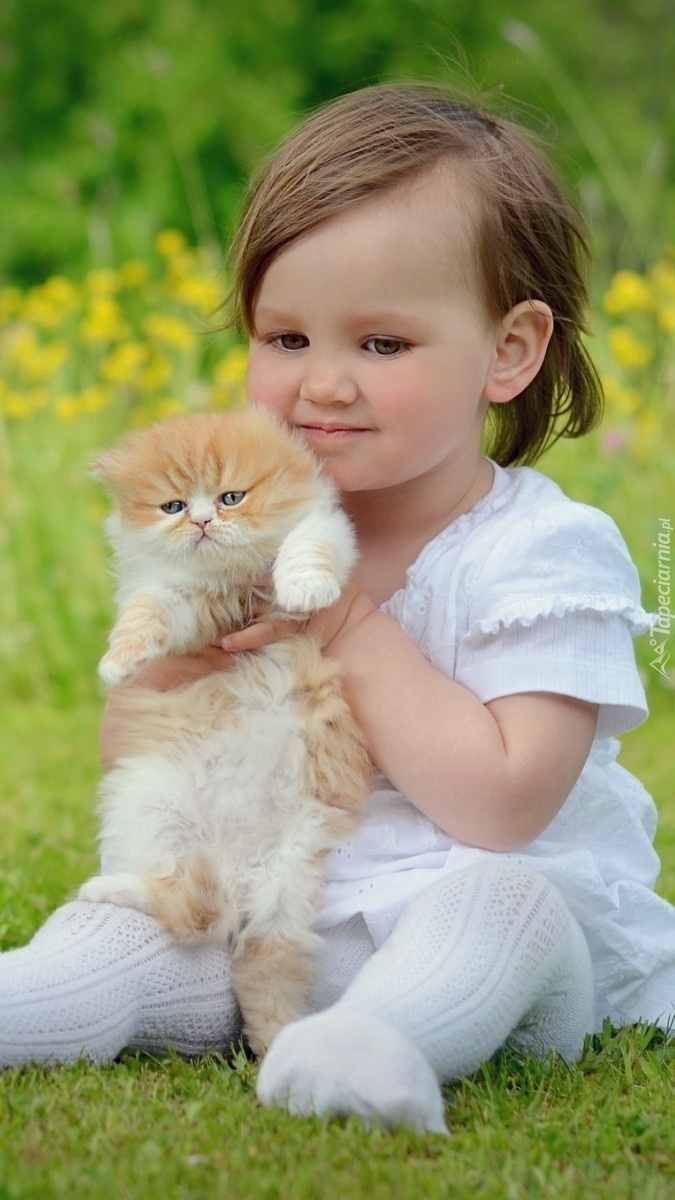 Dziewczynka z kotkiem na trawie
