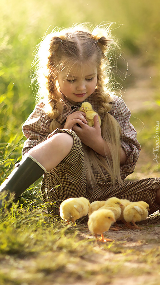 Dziewczynka z kurczaczkami na trawie