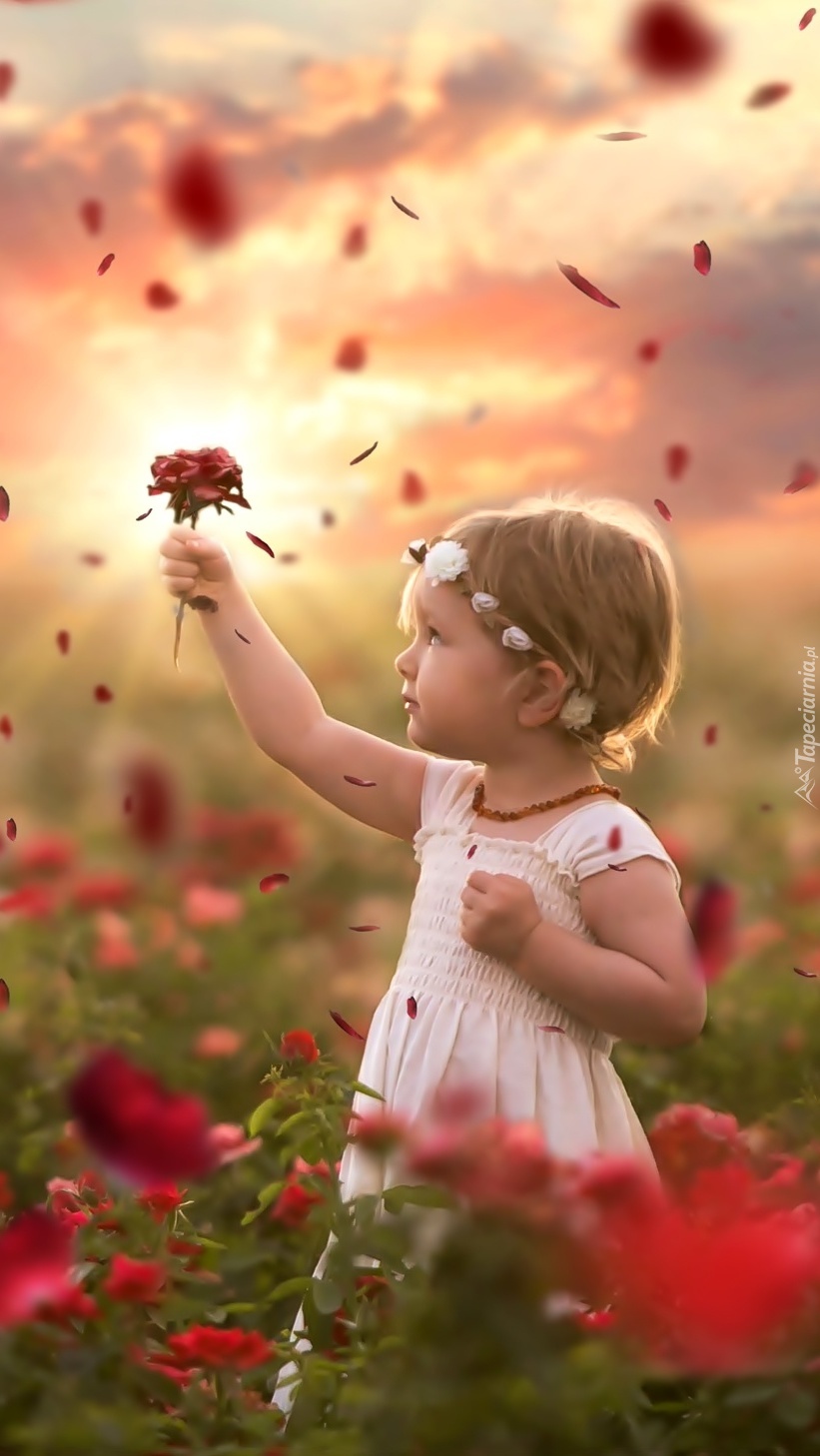 Dziewczynka zachwycona czerwonymi różami
