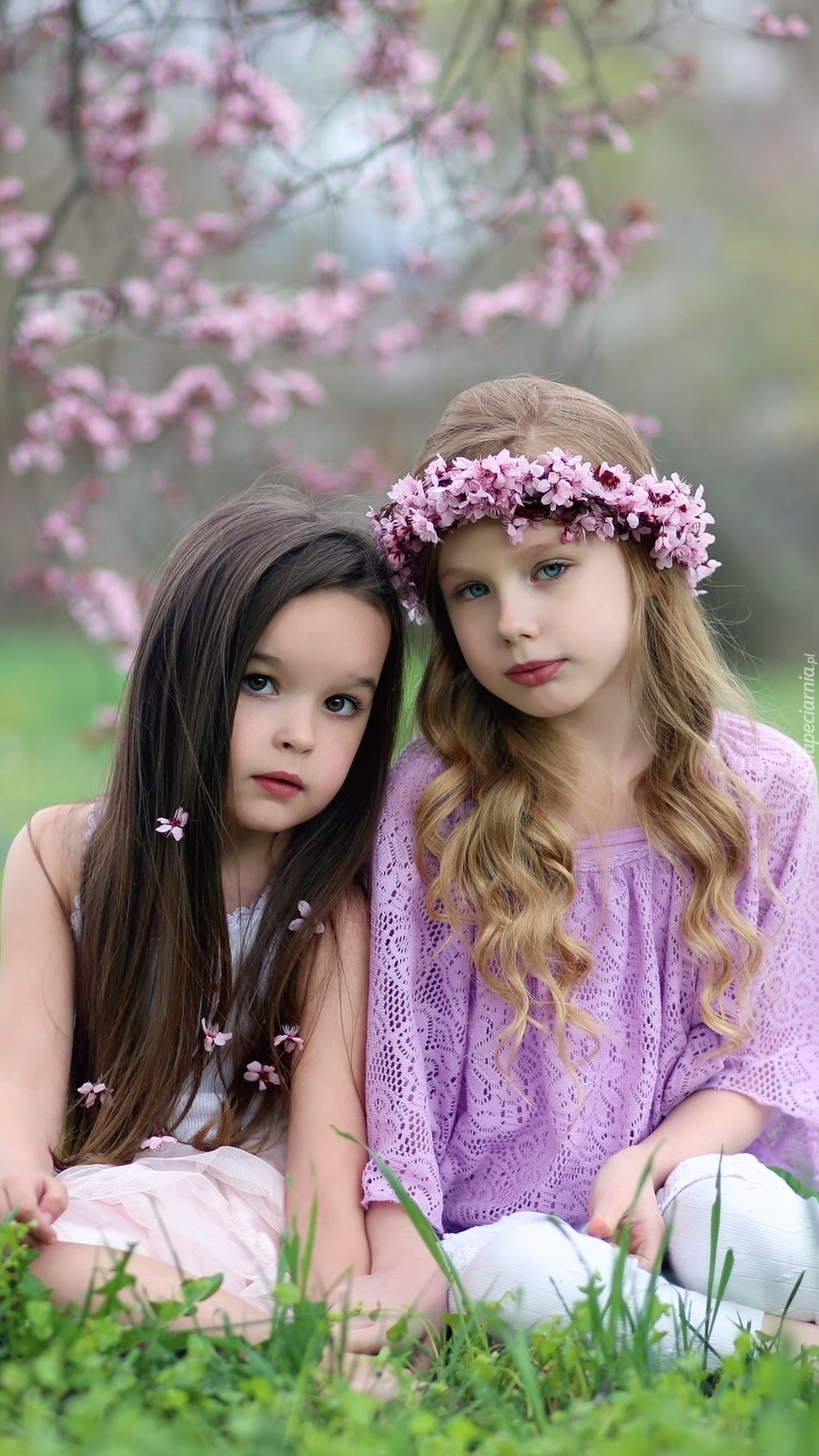 Dziewczynki na łące wśród kwitnących drzew