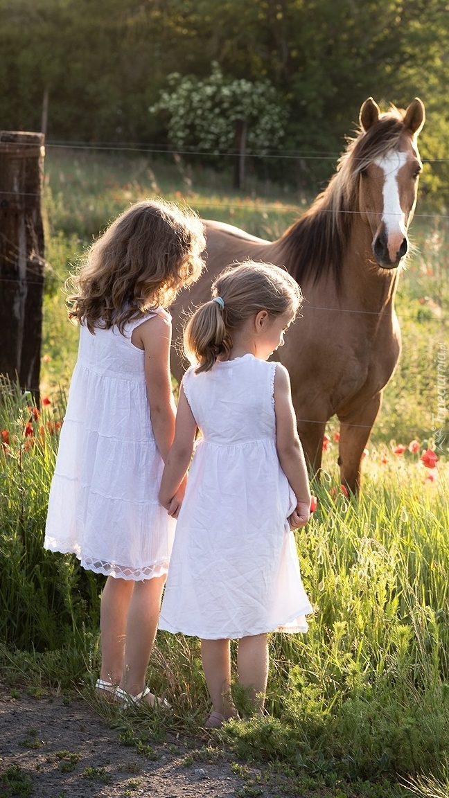 Dziewczynki obok konia