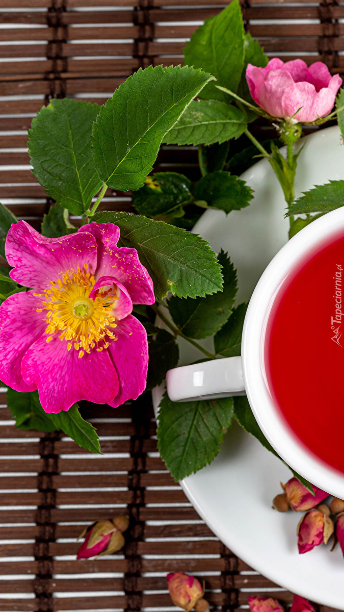 Dzikie róże przy filiżance herbaty