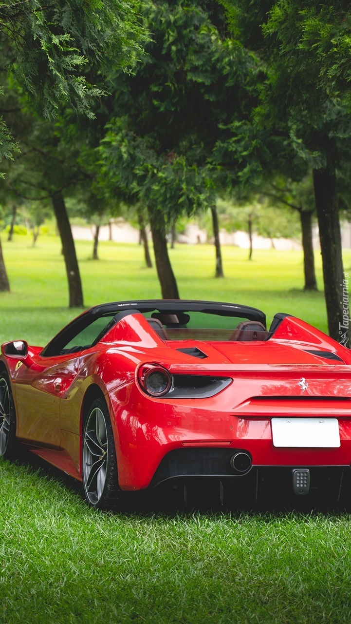 Ferrari 488 Spider Roadster tyłem