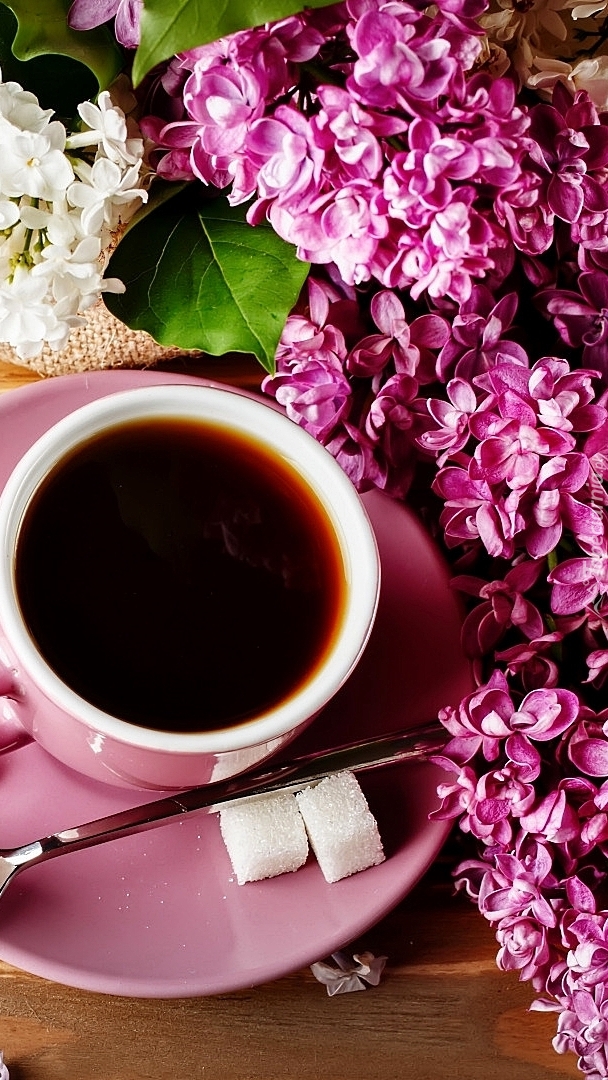 Filiżanka kawy i kwiaty bzu