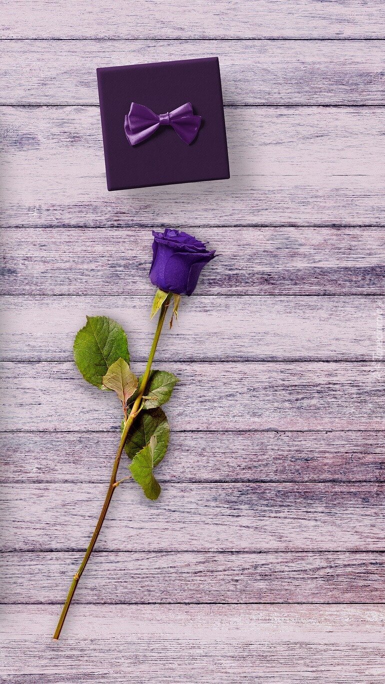 Fioletowa róża i prezent
