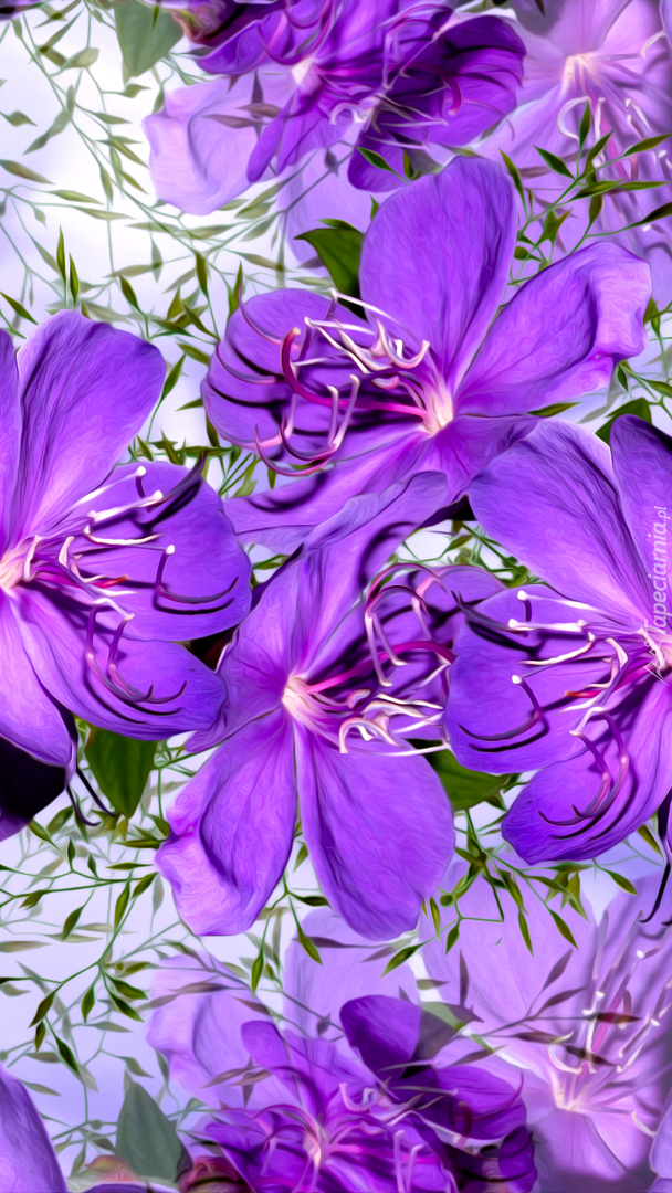 Fioletowe kwiatki