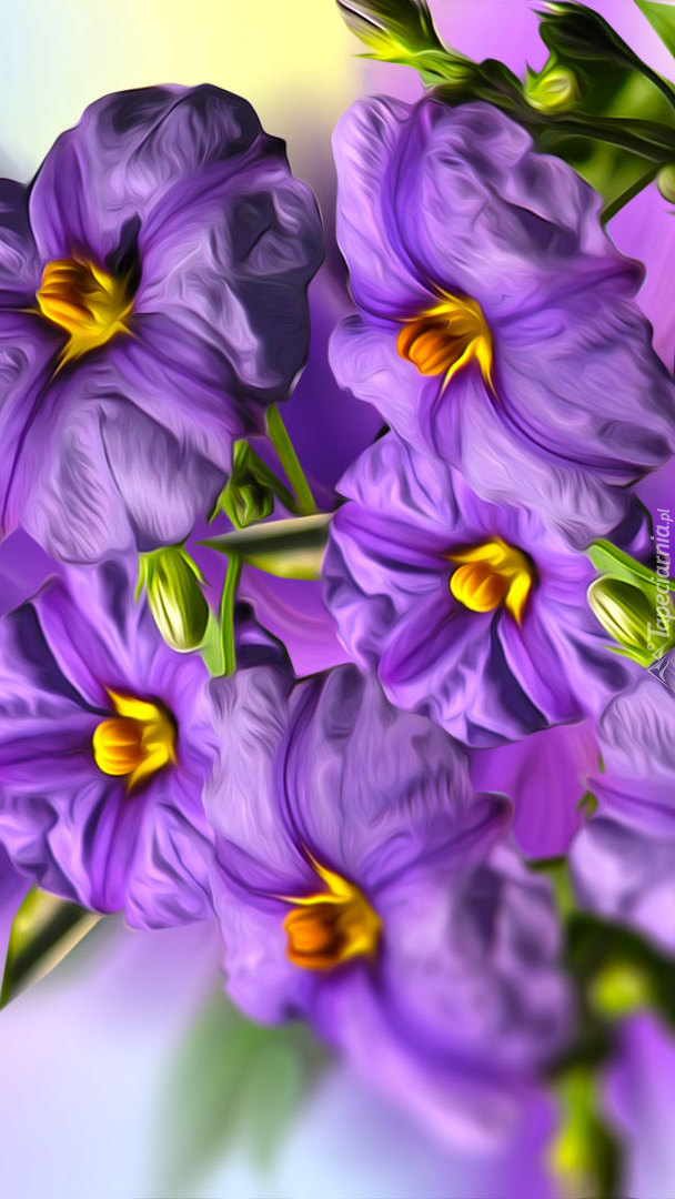 Fioletowe kwiaty w grafice