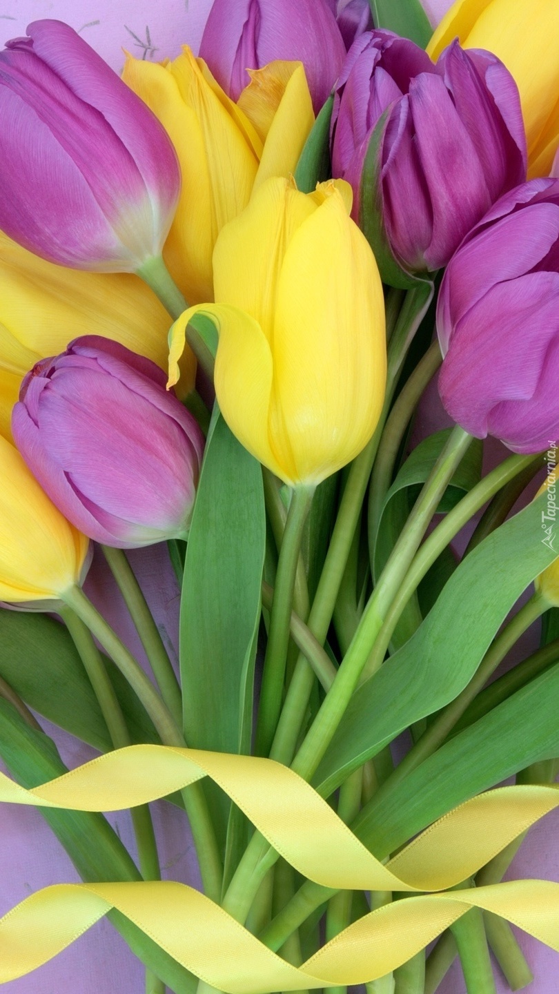 Fioletowo-żółty bukiet tulipanów